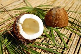 Coconut oil and your pets